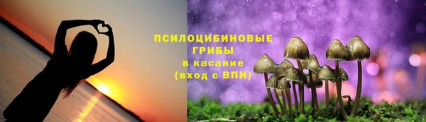 молекула духа Балабаново
