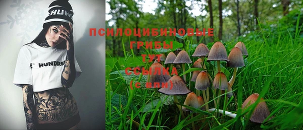 молекула духа Балабаново