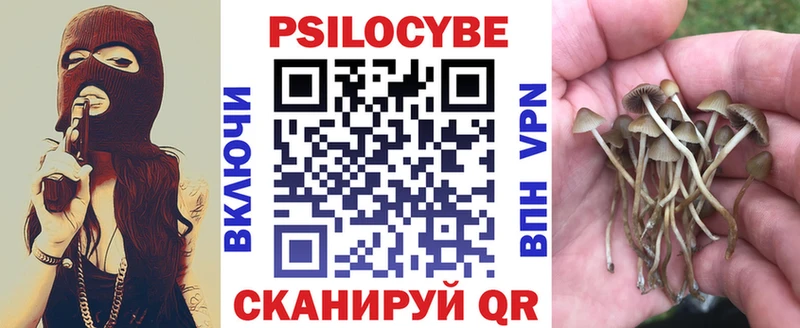 Псилоцибиновые грибы Psilocybe  что такое   Обоянь 